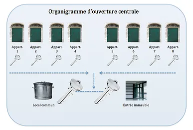 Organigramme de clé